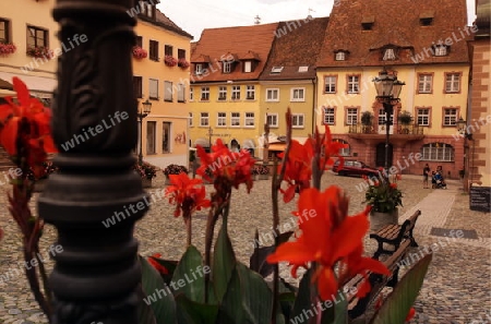  the village of Endingen im Kaiserstuhl in the Blackforest in the south of Germany in Europe.