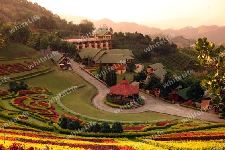 Das Hotel Resort Maesalong Flower Hills beim Bergdorf Mae Salong in der Huegellandschaft noerdlich von Chiang Rai in der Provinz Chiang Rai im Norden von Thailand in Suedostasien.