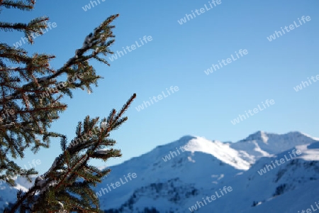 Schatzberg Wildsch?nau Tirol