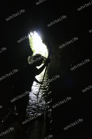 Die Hoehle Cave Pangmapha in der Bergregion von Soppong im norden von Thailand in Suedostasien.