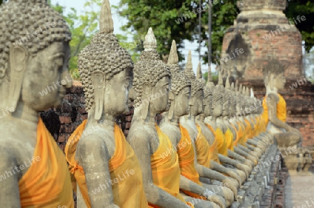 The Wat Yai Chai Mongkol Temple in City of Ayutthaya in the north of Bangkok in Thailand, Southeastasia.