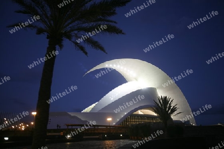 The Auditorio and Theater of the City of Santa Cruz on the Island of Tenerife on the Islands of Canary Islands of Spain in the Atlantic.  