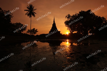 Ein Chedi beim Wat Mahathat Tempel in der Tempelanlage von Alt-Sukhothai in der Provinz Sukhothai im Norden von Thailand in Suedostasien.