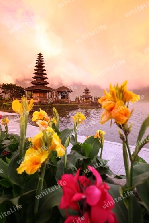 Asien, Suedost, Indonesien, Bali, Insel, Zentral Bali, Lake, Bratan, See, Tempel, Pura Ulun Danu, Landschaft,   (Urs Flueeler) 