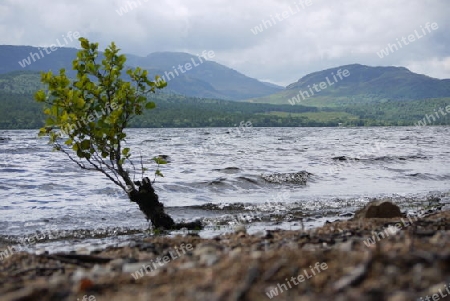 Loch Rannoch