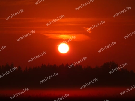 Sonnenaufgang im Nebel