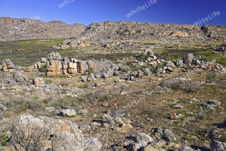 Blick in der Landschaft der Cederberg Wilderness Area bei Clanwilliam, West Kap, Western Cape, S?dafrika, Afrika