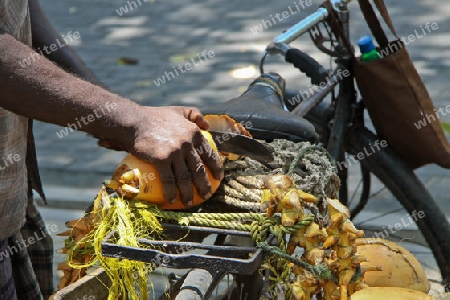 Verkauf von K?nigskokosnuss in Sri Lanka