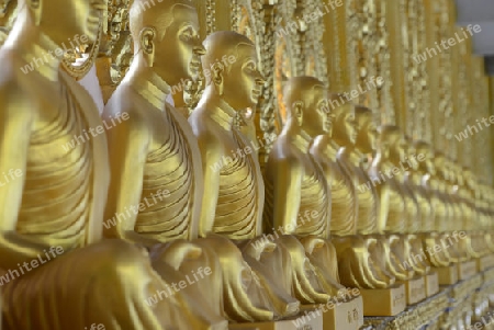 Der Grosse Tempel oder Chedi Phra Maha Chedi Chai Mongkhon auf einem Huegel bei Roi Et in der Provinz Roi Et nordwestlich von Ubon Ratchathani im nordosten von Thailand in Suedostasien.