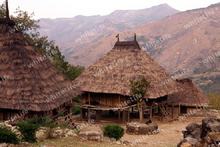 Ein traditionelles Haus beim Bergdorf Maubisse suedlich von Dili in Ost Timor auf der in zwei getrennten Insel Timor in Asien.