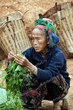 Ein Markt in der Bergregion beim Dorf Muang Phou Khoun an der Nationalstrasse 13 zwischen Vang Vieng und Luang Prabang in Zentrallaos von Laos in Suedostasien.  