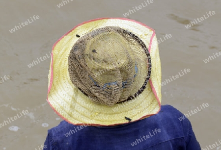 Eine Frau beim Fischen in einem Fluss in der Provinz Amnat Charoen nordwestlich von Ubon Ratchathani im nordosten von Thailand in Suedostasien.