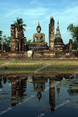 Der Wat Mahathat Tempel in der Tempelanlage von Alt-Sukhothai in der Provinz Sukhothai im Norden von Thailand in Suedostasien.