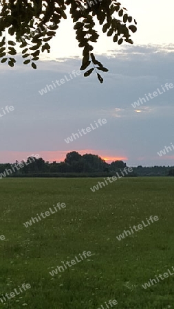 Sonnenuntergang in der Puszta