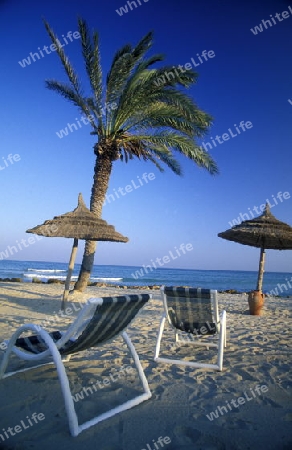 Ein Sandstrand auf der Insel Jierba im Sueden von Tunesien in Nordafrika.