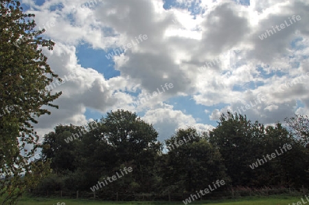 Wolken und Koppel