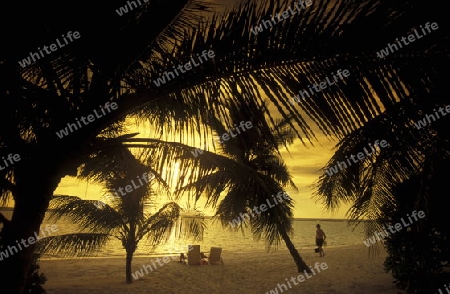 
Der Strand im Abendlicht auf der Insel Helengeli im Northmale  Atoll auf den Inseln der Malediven im Indischen Ozean.   