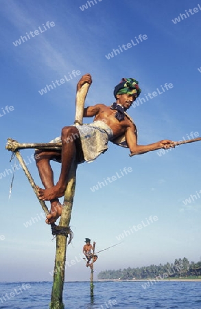 Asien, Indischer Ozean, Sri Lanka,
Traditionelle Fischer sogenannte Stelzenfischer beim Fischen in der naehe des Kuestendorf Ahangama an der Suedkueste von Sri Lanka. (URS FLUEELER)






