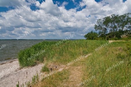 NSG Halbinsel Gnitz mit Peenestrom/Usedom