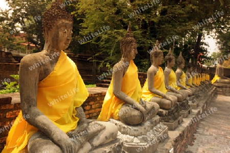 Der Wat Yai Chai Tempel in der Tempelstadt Ayutthaya noerdlich von Bangkok in Thailand.