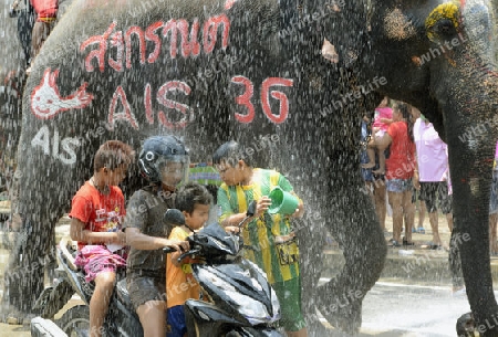 Das Songkran Fest oder Wasserfest zum Thailaendischen Neujahr ist im vollem Gange in Ayutthaya noerdlich von Bangkok in Thailand in Suedostasien.  