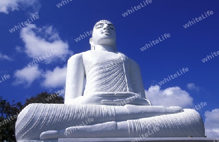 Eine Buddha Statue bei Mihintale im sueden der Insel Sri Lanka im Indischen Ozean.