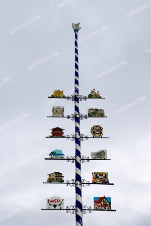 Maibaum in Bayern