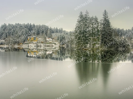 Moosburger Teich im Winter