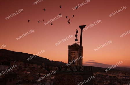 The Medina of old City in the historical Town of Fes in Morocco in north Africa.