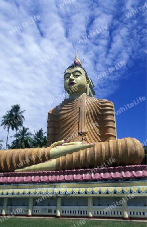 Eine Buggha Figur im Weherahena Tempel im sueden von Sri Lanka in Asien.