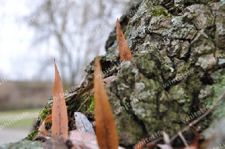 Der Herbst Hinterl?sst Spuren