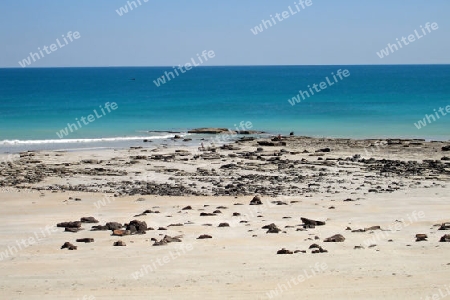   Blick auf das ruhige Meer                             