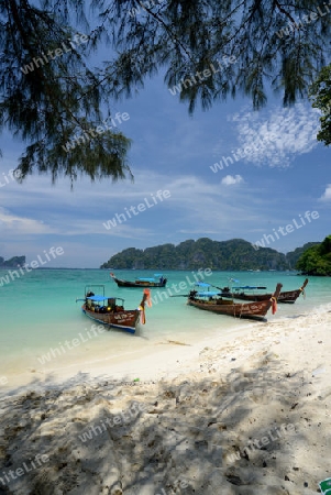 A Beach on the Island of Ko PhiPhi on Ko Phi Phi Island outside of the City of Krabi on the Andaman Sea in the south of Thailand. 