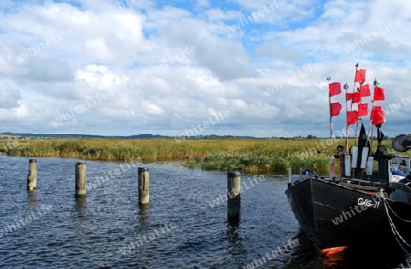 Boddenlandschaft auf R?gen