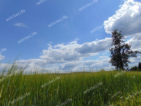 Wolkenspiel