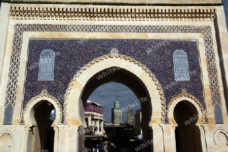 The blue Gate at the Bab Bou Jeloud in the old City in the historical Town of Fes in Morocco in north Africa.