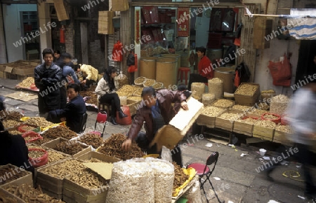 the Market in the city of Canton or Guangzhou in the north of Hongkong in the province of Guangdong in china in east asia. 