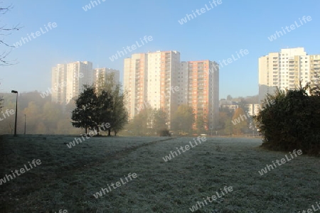 frostiger Ausblick