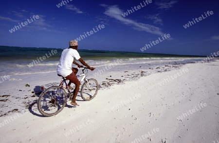 Der Traumstrand  von Michamvi am Chwaka Bay an der Ost-Kueste auf der Insel Zanzibar welche zu Tansania gehoert.         