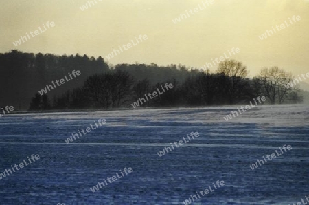 Winterlandschaft