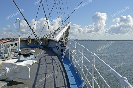 Bug der Gorch Fock I ,  im alten Hafen,   Hansestadt Stralsund, Unesco Weltkulturerbe, Mecklenburg Vorpommern, Deutschland, Europa