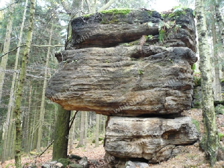 Felsen im Wald