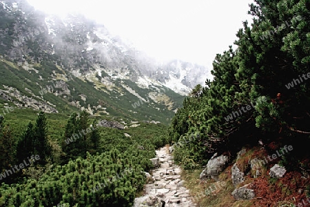 Hohe Tatra in Wolken