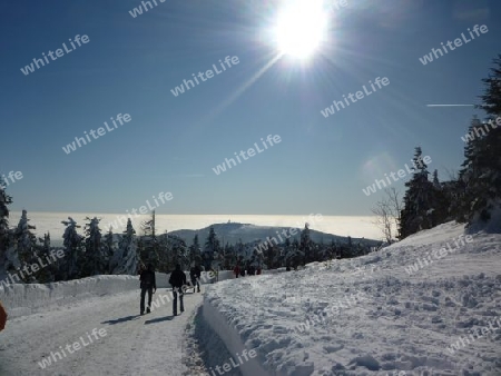 Der Brocken im Winter