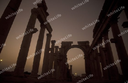 Die Ruinen von Palmyra in der Wueste Faydat in Syrien im Mittleren Osten in Arabien.