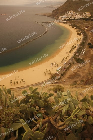 The Playa de las Teresitas at the village of San Andrea on the Island of Tenerife on the Islands of Canary Islands of Spain in the Atlantic.  