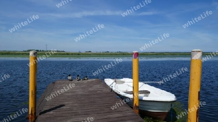 Flusslandschaft mit Ruderboot am Steg