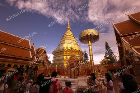 Der Chedi der Tempel Anlage des Wat Phra That Doi Suthep bei Chiang Mai in der Provinz Chiang Mai im Norden von Thailand in Suedostasien.