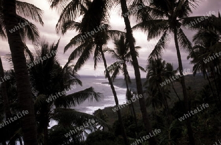 the landscape on the coast of the village Moya on the Island of Anjouan on the Comoros Ilands in the Indian Ocean in Africa.   