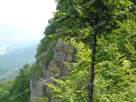 Heldrastein, Wald, Felsen